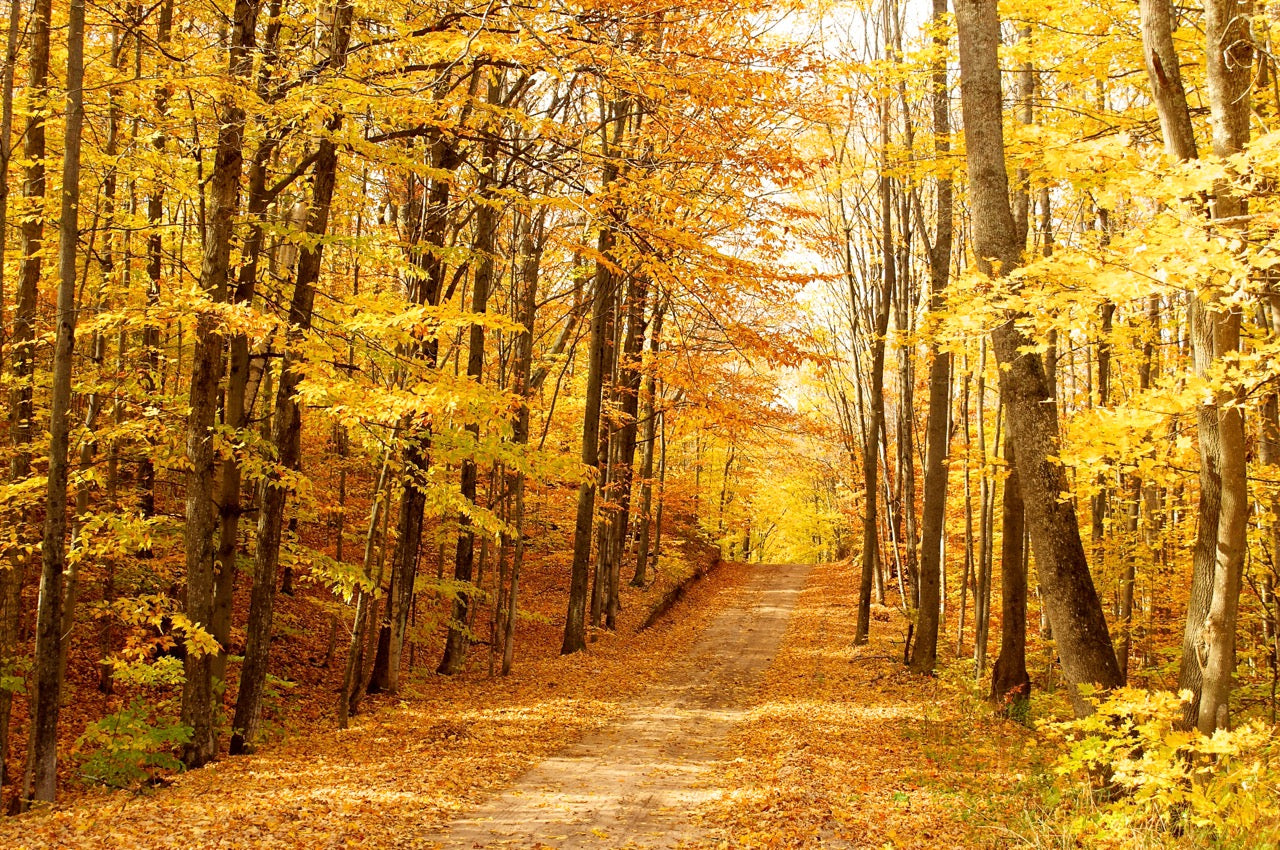 The Importance of Visible Light Transmission