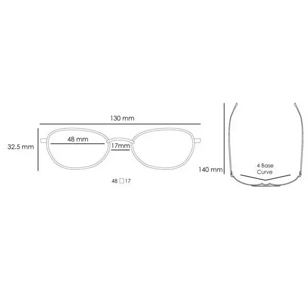 Avalon Small Titanium Sunglasses