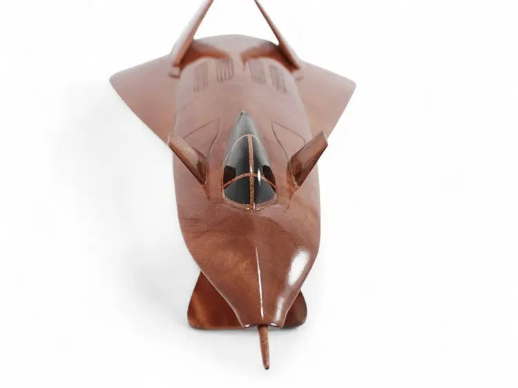 F-19 Stealth Fighter Natural Wood Aircraft Model--Aviator Sunglasses-Premium Wood Designs