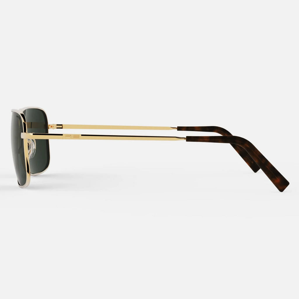 Randolph Archer Sunglasses
