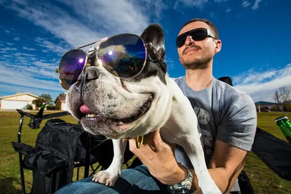 How to ...-Aviator Sunglasses-John M. White-