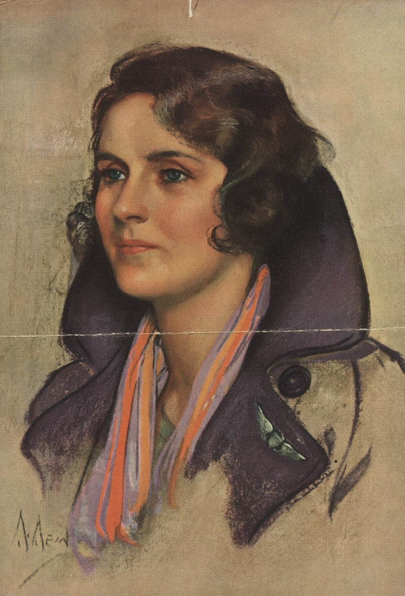 A painting of Ruth Nichols, the Flying Debutante, at the Brazilian National Archives