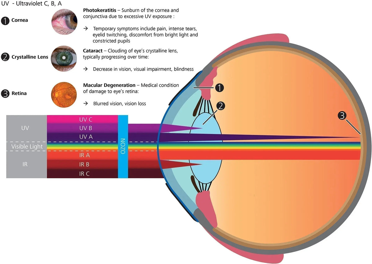 Ultraviolet Radiation and Your Eyes