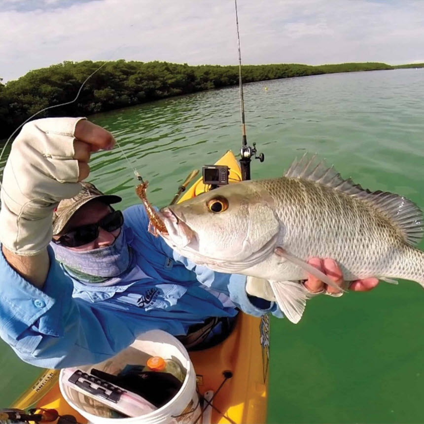 Scheyden Pilot Jet-A Sunglasses